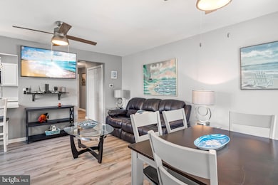 31010 Crepe Myrtle Dr unit 48, Millsboro, DE 19966 - photo 4