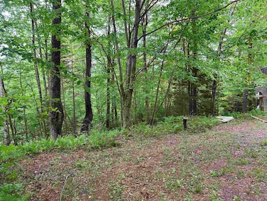 00 Ice Pond Rd, Chittenden, VT 05763 - photo 6