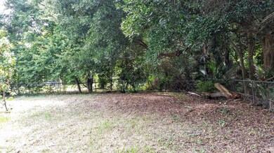 Back yard view