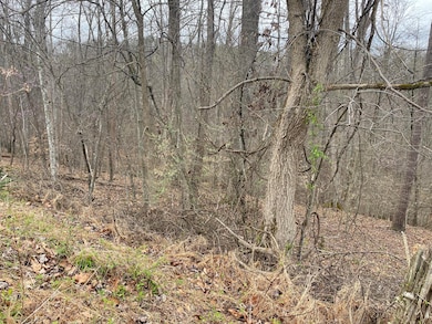 701 Tower Rd, Hurricane, WV 25526 - photo 4