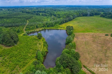 73 Pond View Ln unit 66, Rutherfordton, NC 28139 - photo 4