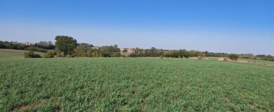 0 230th Ave, New Virginia, IA 50210 - photo 5