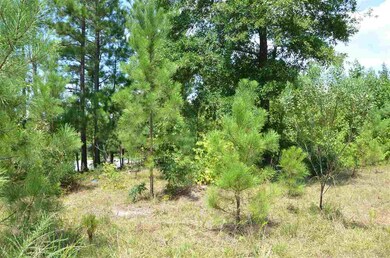 1355 Pete Roberson Rd, Pittsboro, NC 27312 - photo 5