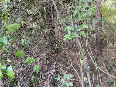 Interior of lots