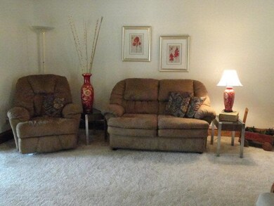 419 Rexine Dr unit 236, Alamo, TX 78516 - photo 7