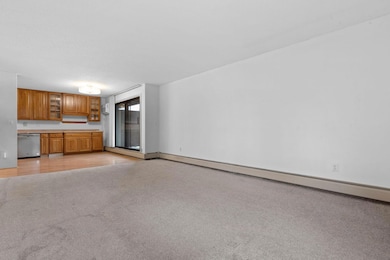 3431 Kent St unit 801, Saint Paul, MN 55126 - photo 2