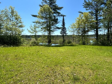 10041 Grassy Lake Rd, Boulder Junction, WI 54512 - photo 2