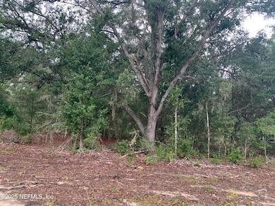 0250 Lenore Ave, Interlachen, FL 32148 - photo 7