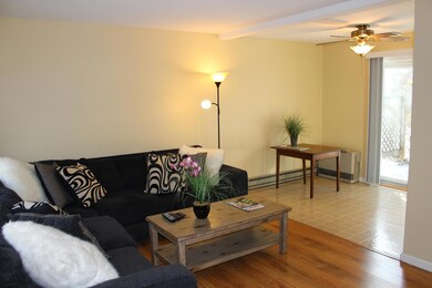 Living room-Dining area
