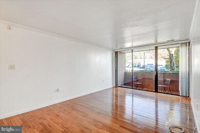 8705 Hayshed Ln unit 11, Columbia, MD 21045 - photo 6