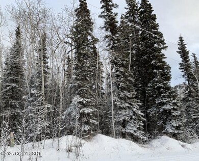 Lot 25 Wrangell Dr, Copper Center, AK 99573 - photo 2