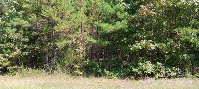 0 First Corriher St unit CAR4301927, China Grove, NC 28023 - photo 3