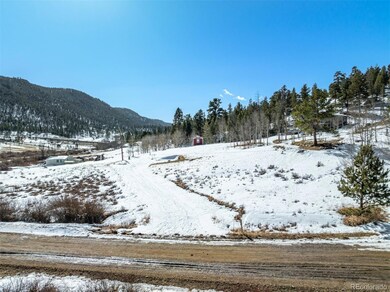 60 Cherokee Path unit 90, Lake George, CO 80827 - photo 4