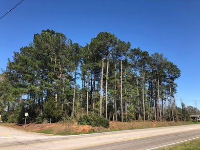 4460 Flowers Chapel Rd, Dothan, AL 36305 - photo 3