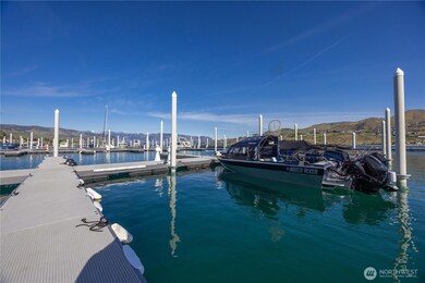 1350 W Woodin Ave unit D9, Chelan, WA 98816 - photo 4