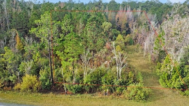 Lot 2 Old Bay City Rd, Wewahitchka, FL 32465 - photo 2