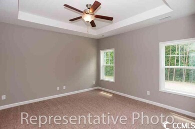 Has trey ceiling and ceiling fan