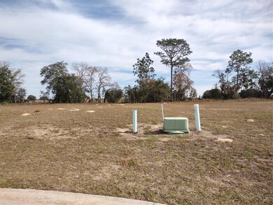 6400 SW 180 Cir unit Lot 29, Dunnellon, FL 34432 - photo 2