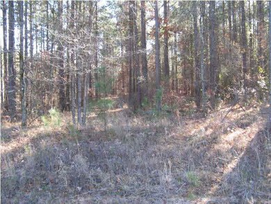 Big block corner lot