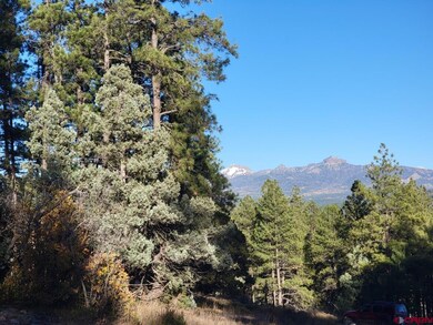 21 Echo Lake Access Easement, Pagosa Springs, CO 81147 - photo 7