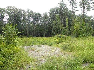 61 Ramshorn Rd-Option 2, Charlton, MA 01507 - photo 3