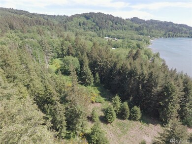 1251 Dabob Post Office Rd, Quilcene, WA 98376 - photo 6