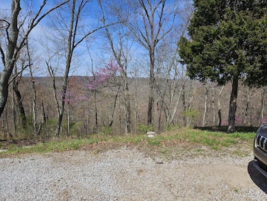 763 Dixie Bend 2