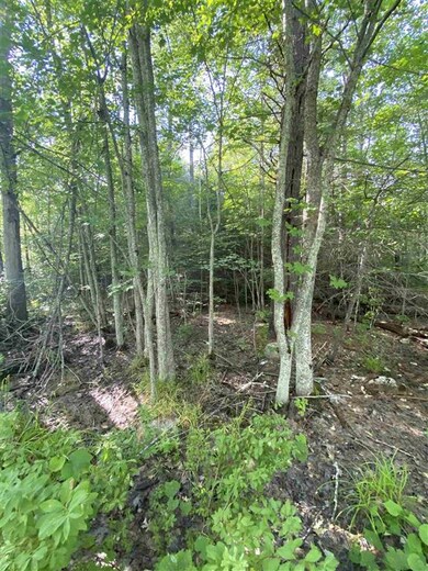 tbd Waldron Rd, Farmington, NH 03835 - photo 7