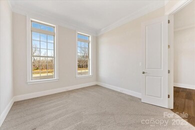 45419 Misty Bluff Dr, Steele Creek, NC 28278 - photo 5