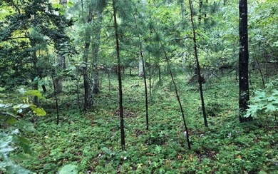 Additional View