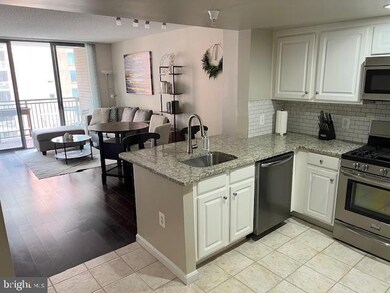 11710 Old Georgetown Rd unit 820, North Bethesda, MD 20852 - photo 6