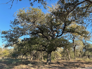 413 Batey Rd, Seguin, TX 78155 - photo 2