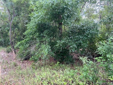 1108 E Van Gogh Ct, Hernando, FL 34442 - photo 2