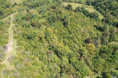 2450 Ashes Creek Rd, Bloomfield, KY 40008 - photo 5