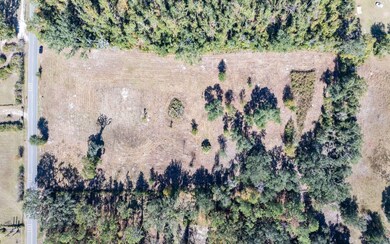 TBD 129th Rd, Live Oak, FL 32060 - photo 7