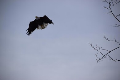 67 Randall Lake Rd, Parsonsfield, ME 04047 - photo 4