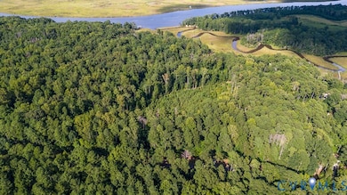 Aerial view of property's location featuring a forest and a large body of water