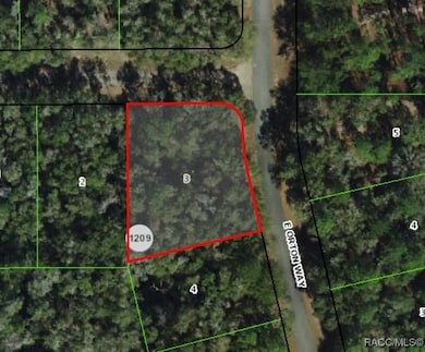 8399 N Joiner Way, Dunnellon, FL 34434 - photo 2