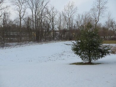 View Of Back From Patio