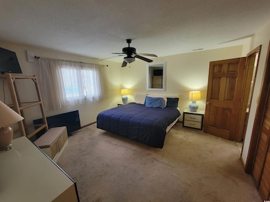 Bedroom featuring light colored carpet, a ceiling fan, and a textured ceiling