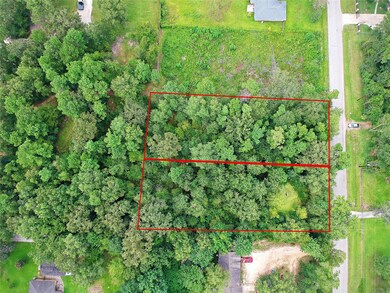 Lot 132 Lexington, the Woodlands, TX 77385 - photo 4