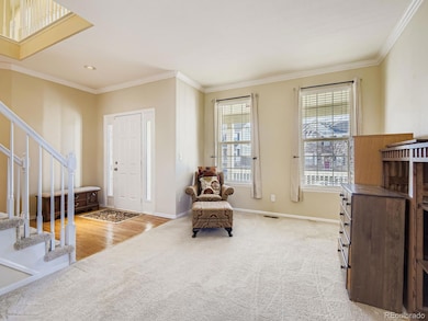 10036 Brisbane Ln, Highlands Ranch, CO 80130 - photo 5