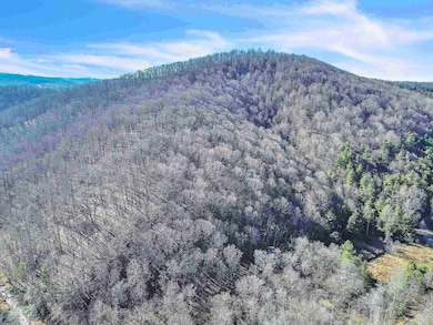 1398 Cox Store Rd SW, Floyd, VA 24091 - photo 3