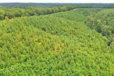 0 Highway 128 unit 2183113, Linden, TN 37096 - photo 3