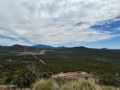 1123 E Broken Arrow Dr, Red Lake, AZ 86046 - photo 7