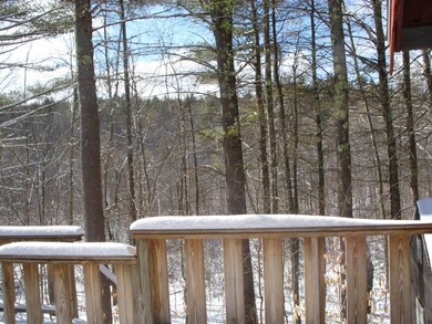 1234 Lovell Lake Rd, Sanbornville, NH 03872 - photo 3