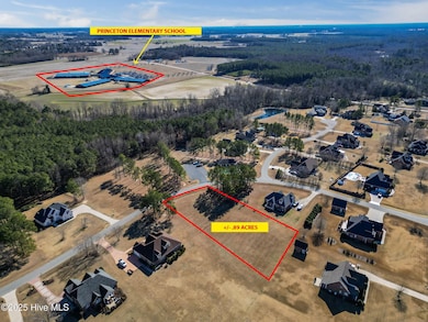 125 Lakeview Estates, Princeton, NC 27569 - photo 3