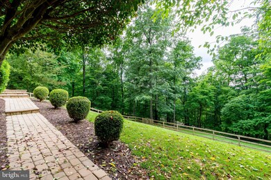 956 Wilderness Rd, Linden, VA 22642 - photo 5