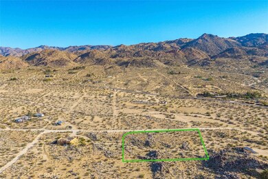 62570 Turtle Rd, Joshua Tree, CA 92252 - photo 4