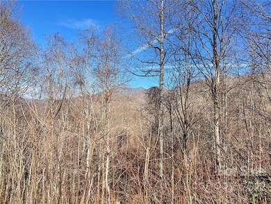 112 Broomtail Way unit 13, Sylva, NC 28779 - photo 4